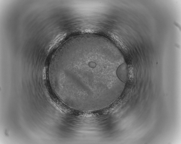 X0000095540738200712281543