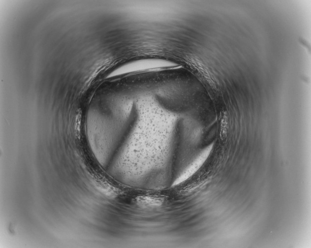 X0000095540739200712281543