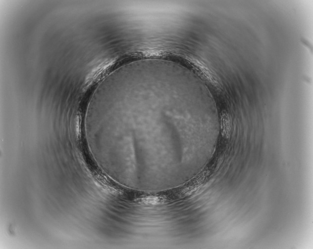 X0000095540740200712281543