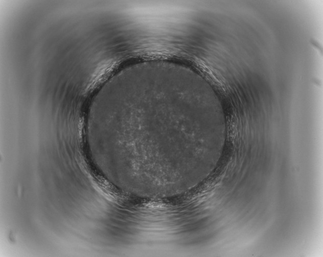 X0000095540742200712281543