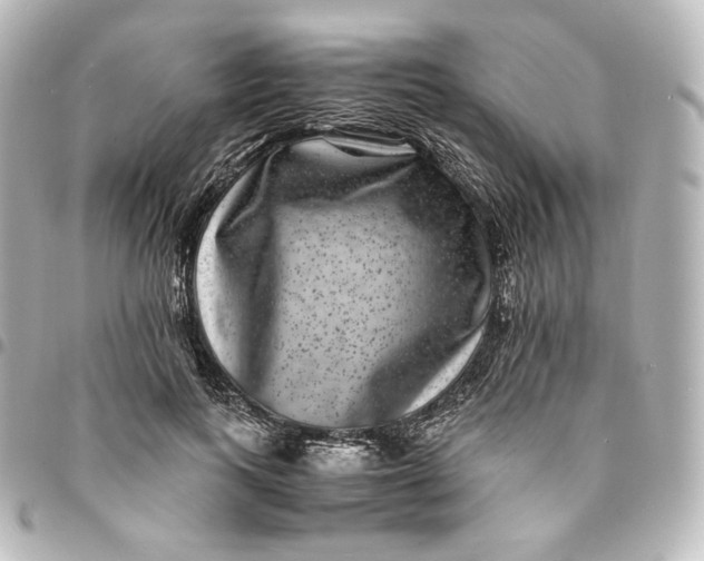 X0000095540743200712281543