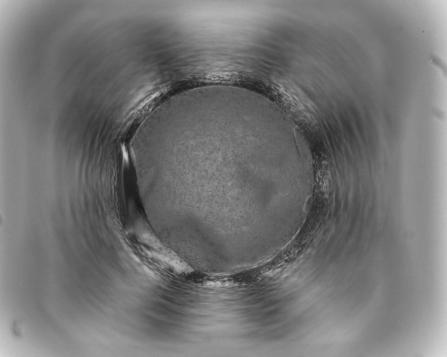 X0000095540744200712281543