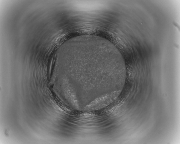 X0000095540745200712281543