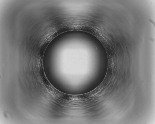 X0000095540746200712281544