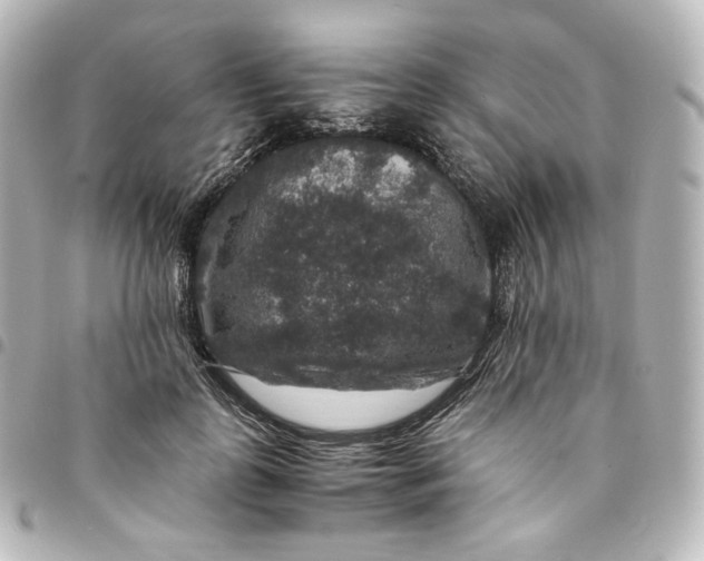 X0000095540747200712281544