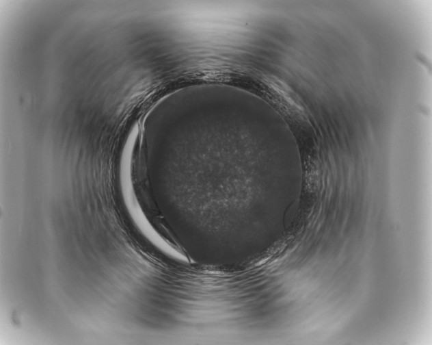 X0000095540748200712281544