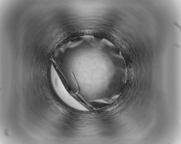 X0000095540750200712281544