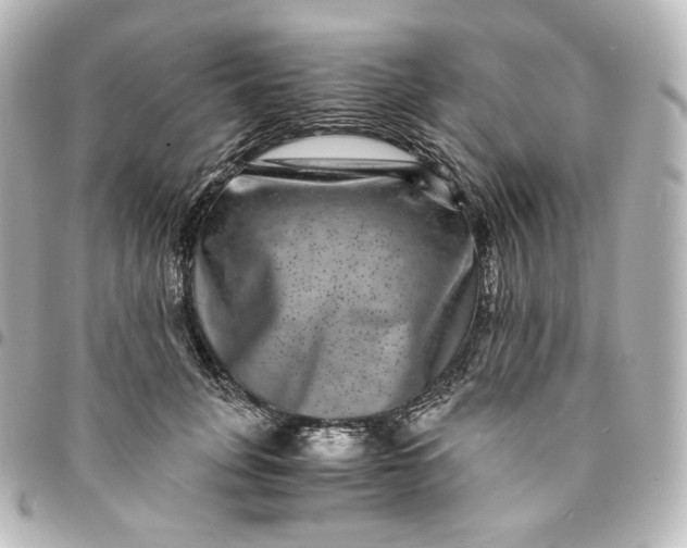 X0000095540751200712281544