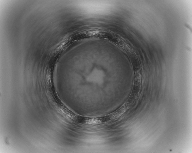 X0000095540754200712281544