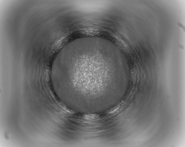 X0000095540757200712281544