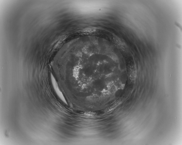 X0000095540758200712281544