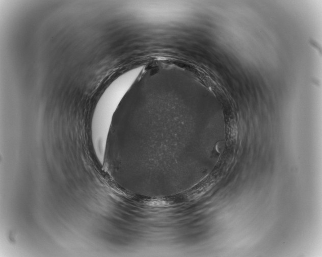 X0000095540759200712281544