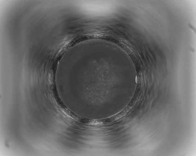 X0000095540760200712281544