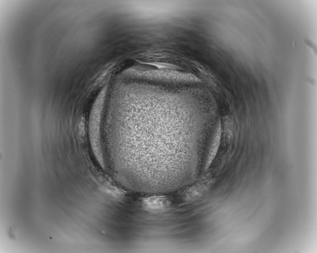 X0000095540761200712281544