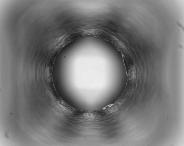 X0000095540764200712281544