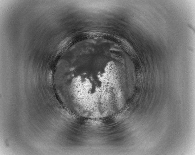 X0000095540765200712281544