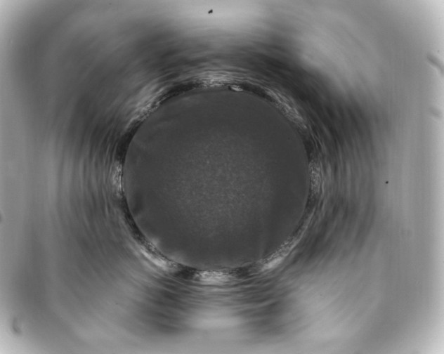 X0000095540766200712281544