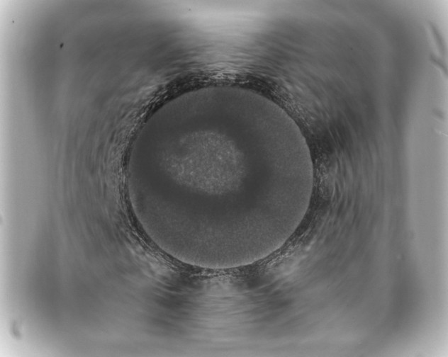 X0000095540769200712281543