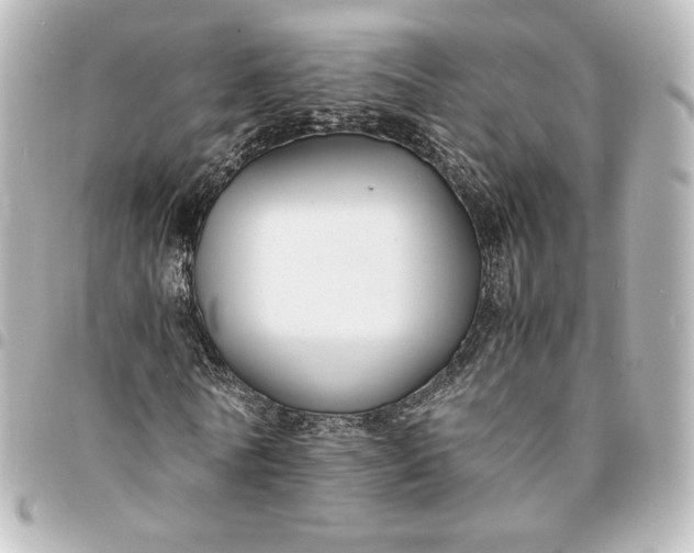 X0000095540770200712281543