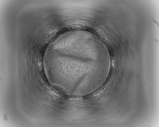 X0000095540771200712281543