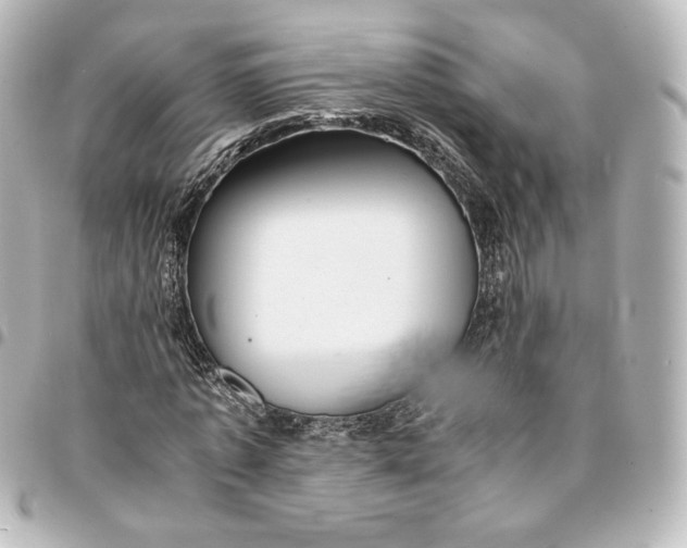 X0000095540773200712281543