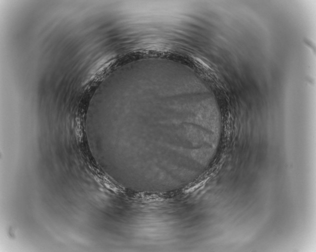 X0000095540774200712281543