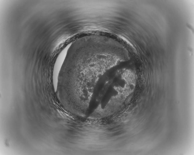 X0000095540775200712281543