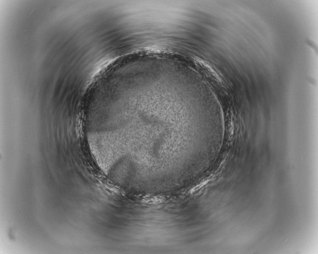 X0000095540776200712281543