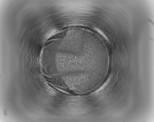 X0000095540777200712281543