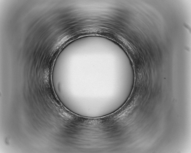 X0000095540778200712281543