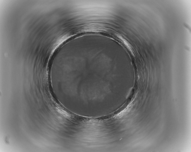 X0000095540779200712281543