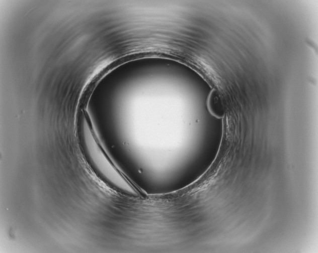 X0000095540780200712281543