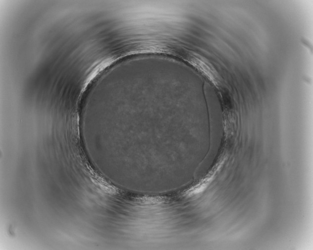 X0000095540781200712281543