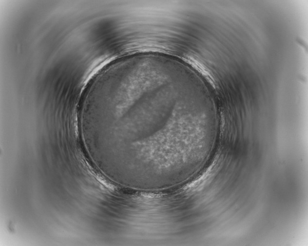 X0000095540782200712281543