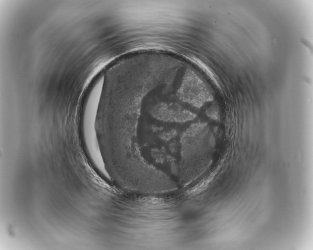 X0000095540783200712281543