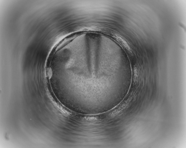 X0000095540784200712281543