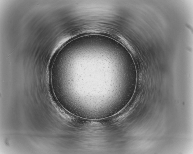 X0000095540787200712281543