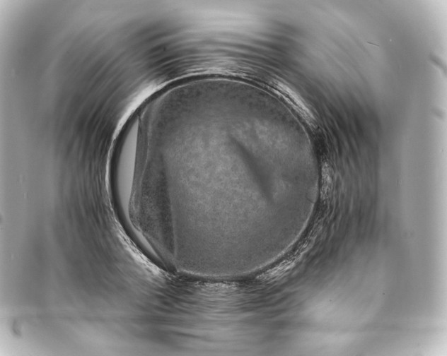 X0000095540788200712281543