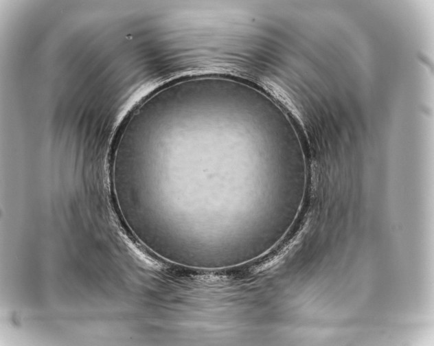 X0000095540789200712281543