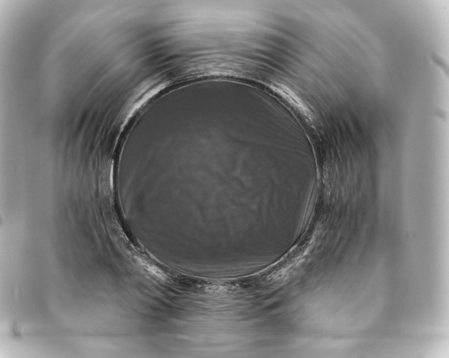 X0000095540790200712281543