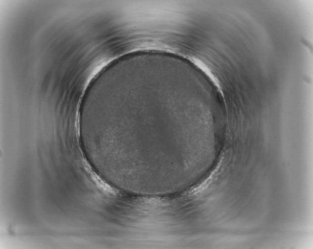 X0000095540791200712281543