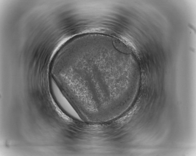 X0000095540792200712281543