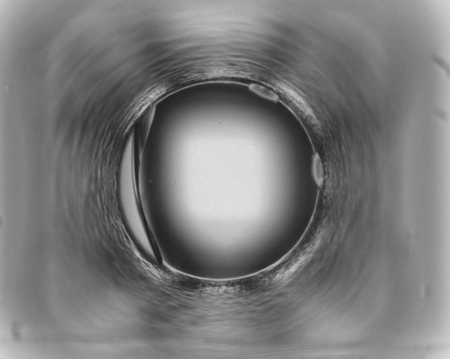 X0000095540793200712281543