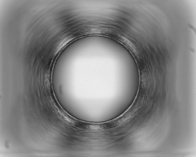 X0000095540794200712281543