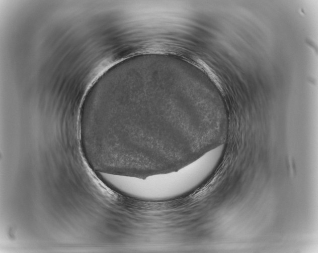 X0000095540795200712281543