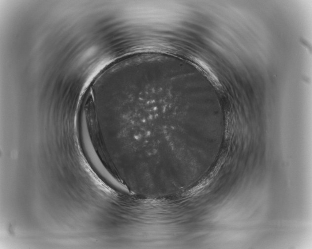 X0000095540796200712281543