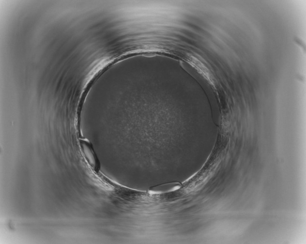 X0000095540797200712281543