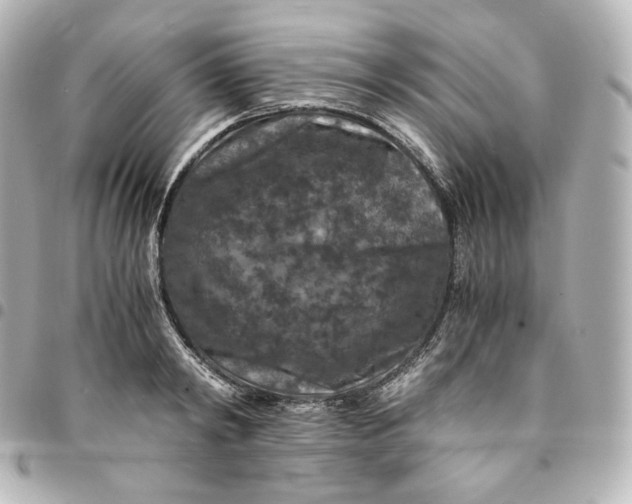 X0000095540798200712281543