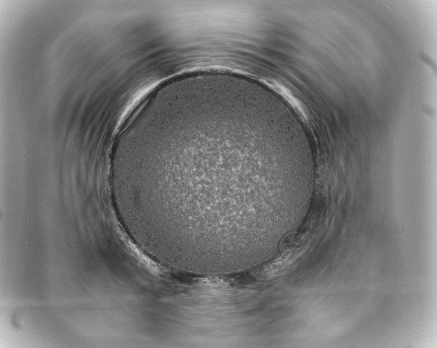 X0000095540799200712281543