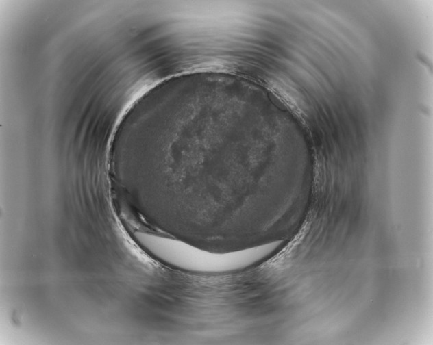 X0000095540800200712281543